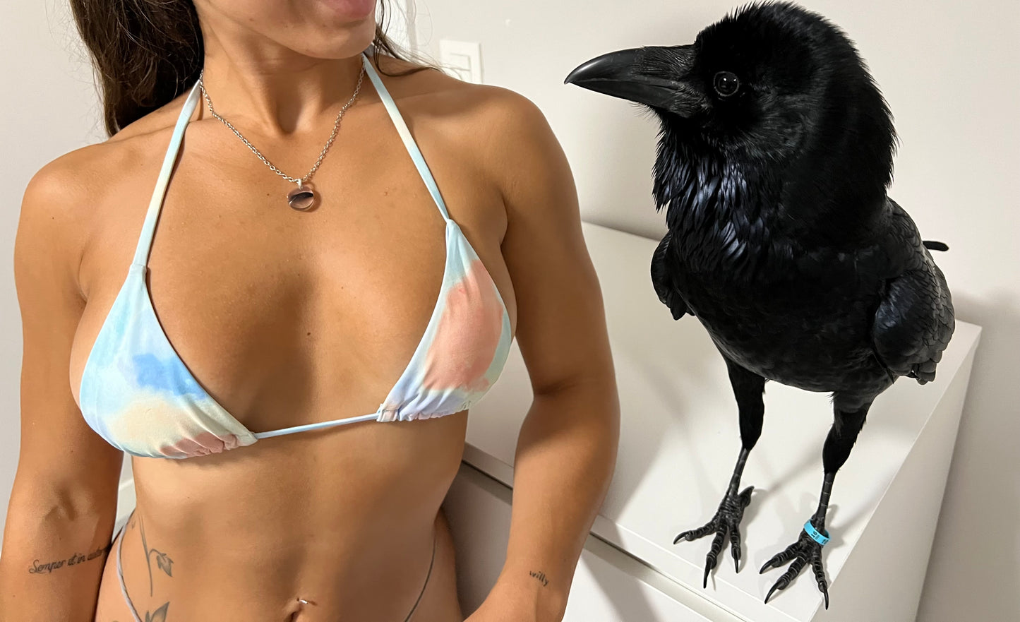 Collar Vanta Feather